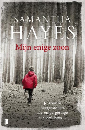 Mijn enige zoon 9789022568972 Samantha Hayes, Verzenden, Gelezen, Samantha Hayes