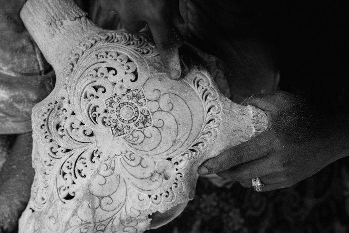 Geen reserveringsprijs - Uitgegraveerde bruine koeienschedel, Antiquités & Art, Art | Objets design