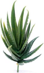 Latex Succulent 868692 Groen 13 cm per stuk, Nieuw