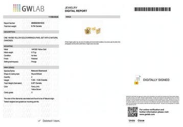 Zonder minimumprijs - Oorbellen - 14 karaat Geel goud -, Nieuw