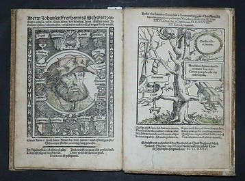 M. Tullius Cicero (u. Johann v. Schwarzenberg) - Der Teütsch