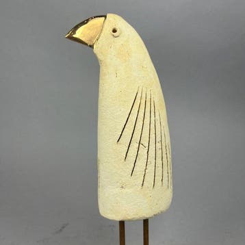 Ewa Budzowska - The big Parrot