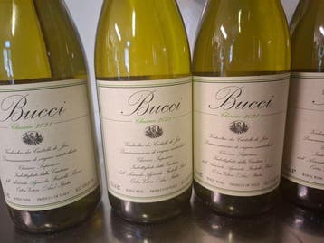 2018 x5 Ris. & 2021 x7 Villa Bucci, Verdicchio dei Castelli, Verzamelen, Wijnen, Nieuw