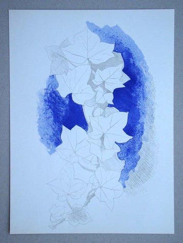 Georges Braque (1882-1963) - Lierre