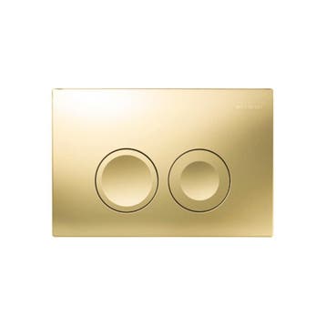 Bedieningsplaat Delta 25 by Geberit Frontbediening Goud, Doe-het-zelf en Bouw, Ophalen of Verzenden, Nieuw, Overige typen