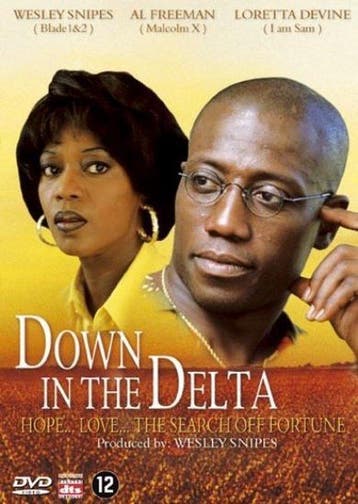 Down in the delta (dvd nieuw), Cd's en Dvd's, Ophalen of Verzenden, Nieuw in verpakking
