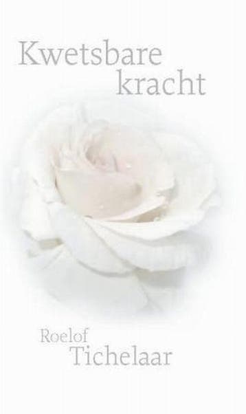 Kwetsbare kracht 9789025958299 Roelof Tichelaar, Verzenden, Roelof Tichelaar