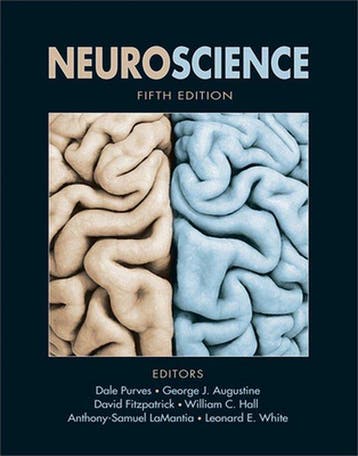 Neuroscience 9780878936953 Dale Purves, Boeken, Verzenden, Zo goed als nieuw, Dale Purves