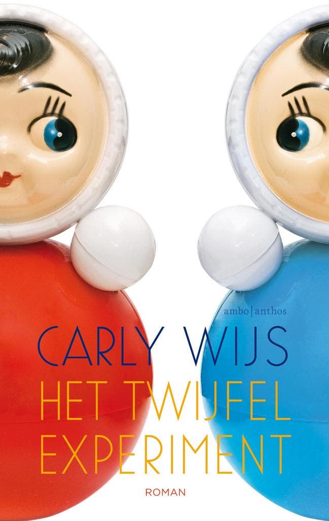 Het twijfelexperiment 9789026332968 Carly Wijs, Livres, Romans, Envoi