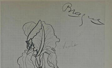 Georges Braque (1882-1963) - 3 Héliogravures originales