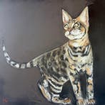 Tania Azzar - Gatto Bengala, 70x70cm