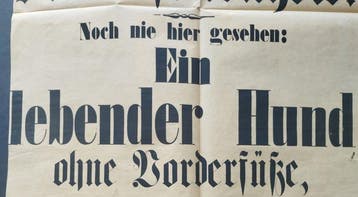 Ein lebender Hund ohne Vorderfüße - 1857, Antiek en Kunst, Antiek | Boeken en Manuscripten
