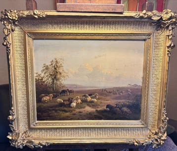 Tom Jan Bedijs (1813-1894) - Schapen