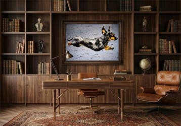 Bazévian DelaCapucinière - Come Fly with me - Dachshund dog