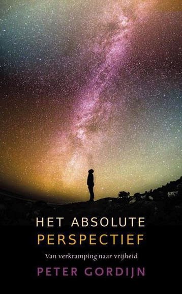 Het absolute perspectief 9789491411786 Peter Gordijn, Verzenden, Gelezen, Peter Gordijn