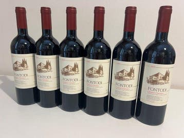 2022 Fontodi Chianti Classico - Chianti Classico DOCG - 6, Verzamelen, Nieuw