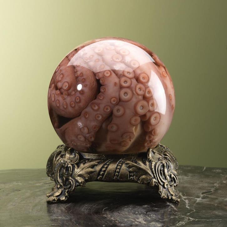 Octopus op Sterk Water Taxidermie Opgezette Dieren By Max, Verzamelen, Dierenverzamelingen, Opgezet dier, Nieuw, Wild dier, Ophalen of Verzenden