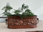 Jardinière - Planter de l’époque édouardienne - Cuivre, Antiek en Kunst, Curiosa en Brocante