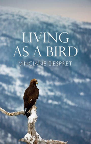 Living as a Bird 9781509547265 Vinciane Despret, Verzenden, Zo goed als nieuw, Vinciane Despret