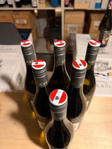 2018 Topf, Sauvignon Blanc Ried Hasel - Neder-Oostenrijk - 6, Nieuw