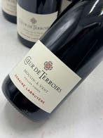 2013 Domaine Labruyère Coeur de Terroirs Moulin à Vent