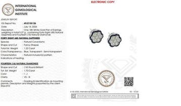 Oorbellen - 18 karaat Witgoud - 2.92ct. tw. Diamant, Nieuw