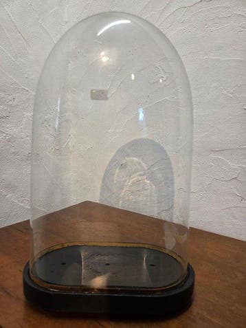 Globe - !!! - ANTIEKE GLAZEN STOLP - 1901-1920 - Beau