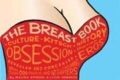 The Breast Book 9780761121121 Maura Spiegel, Verzenden, Gelezen, Maura Spiegel