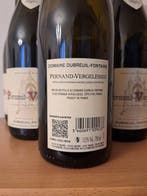 2023 Domaine Dubreuil-Fontaine - Pernand-Vergelesses - 6