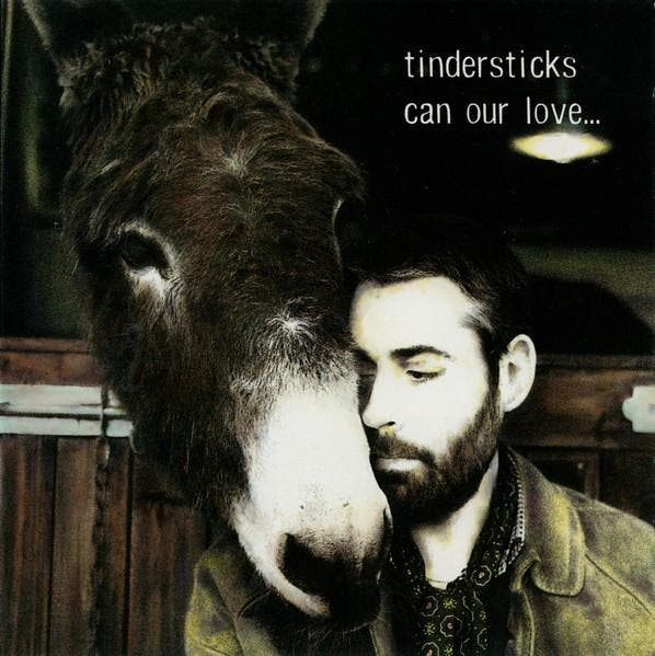 Tindersticks - Can Our Love..., CD & DVD, CD | Rock, Envoi