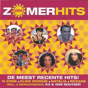 Various - ZomerHits 2004, Verzenden, Gebruikt