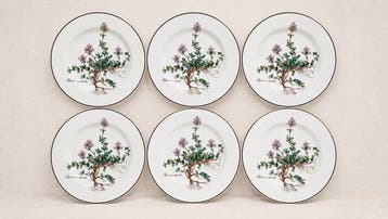 Villeroy & Boch - 6 Assiettes - Tafelservies voor 6 (6) -