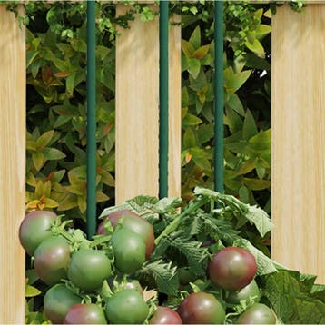 vidaXL Plantenstaken 30 st 180 cm staal groen, Tuin en Terras, Verzenden, Nieuw