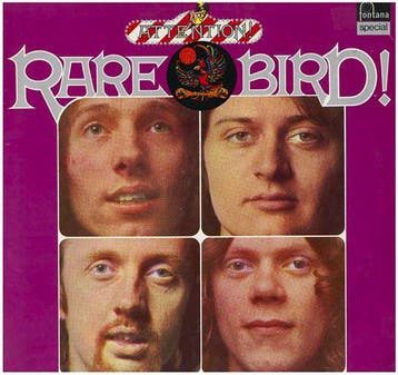 Rare Bird - Attention! Rare Bird!, Verzenden, Gebruikt