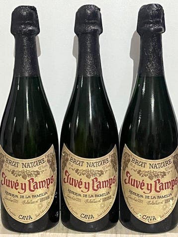 2001 Juvé y Camps, Reserva de la Familia - Penedes, Cava, Nieuw