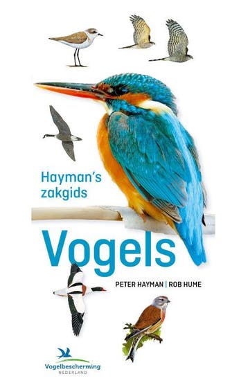 Haymans zakgids vogels 9789043925396 Peter Hayman, Verzenden, Gelezen, Peter Hayman