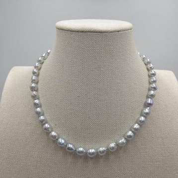 Zonder minimumprijs - Halsketting Zilver Parel - Akoya Pearl, Nieuw