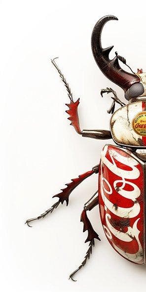 F2B - BeetleCan Coca2 4I8