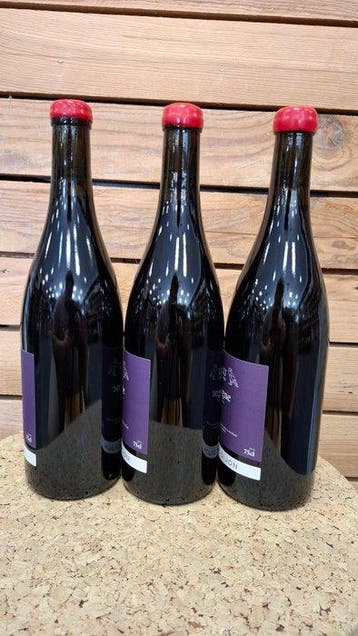 2022 Domaine de la Cras - Bourgogne rood - 3 Flessen (0.75, Nieuw