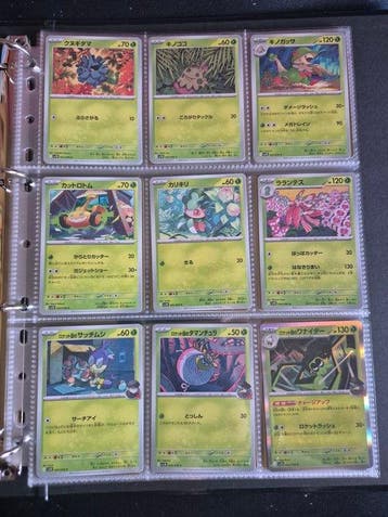 Pokémon Compleet album - Scarlet & Violet - GLORY OF TEAM