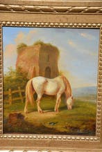 Anthony Oberman - Grazend paard