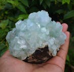 Disco Apophyllite. Mineralencollectie - Hoogte: 9 cm -