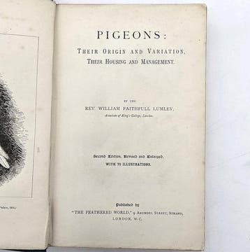 Lumley - Pigeons: Their Origin and Variation - 1895
