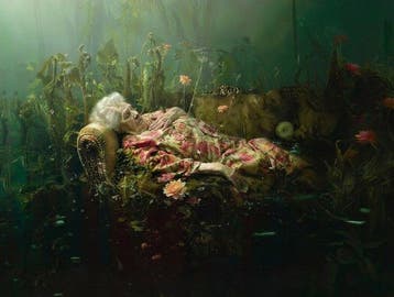 Francien Krieg - The Room Beneath the Garden