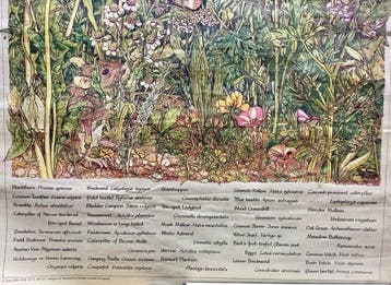 Marjolein Bastin - Gallery Five - Hedgerow (Haie champêtre /, Antiek en Kunst