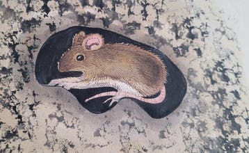 Michel Lablais (1925 -2017) - Musaraigne, Antiquités & Art