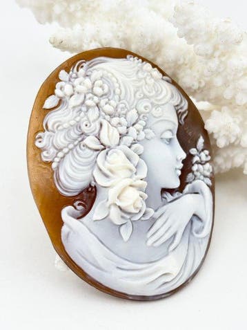 CASSIS MADAGASCARIENSIS - Cameo - Handgesneden camee