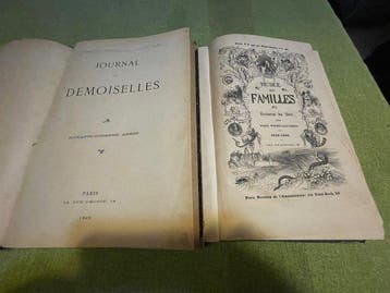 AA.VV. - Journal des Demoiselles 1904 - Musee des Familles