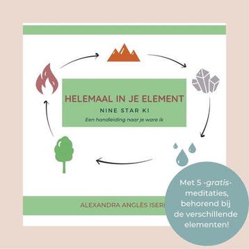 Nine Star Ki - Helemaal in je element 9789090340432, Verzenden, Alexandra Anglès Isern