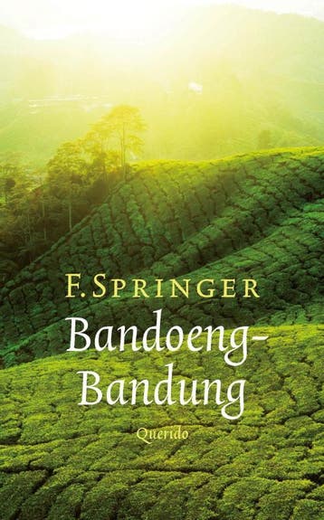 Bandoeng-Bandung 9789021439273 F. Springer, Verzenden, Gelezen, F. Springer